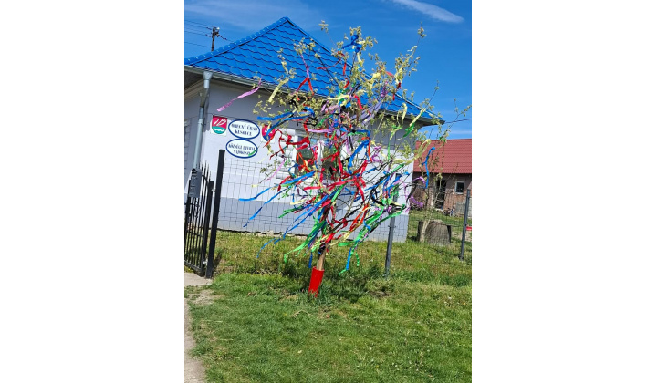 Májový strom pre dedinu