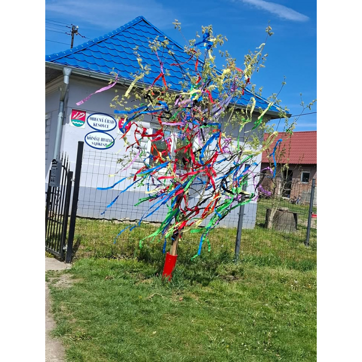 Májový strom pre dedinu