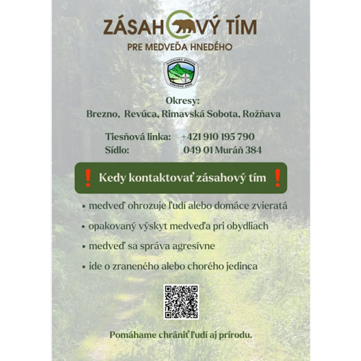 Zásahový tím pre medveďa hnedého